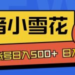 独家抖音小雪花项目，单账号日入几张-梦帆创业网