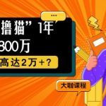 他，靠“撸猫”1年狂赚800个，每天收益高达2个+?-梦帆创业网