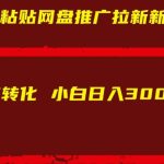 复制粘贴网盘推广拉新新玩法高转化小白日入300+【揭秘】-梦帆创业网