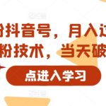 靠卖千粉抖音号，月入过W，最新涨粉技术，当天破千粉-梦帆创业网