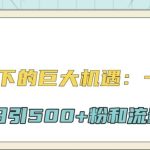 公众号新规下的巨大机遇:一篇文章引爆流量,轻松日引500+粉和流量主双方收益-梦帆创业网