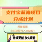 支付宝蓝海项目分成计划，无脑搬运，小白轻松月入1w+-梦帆创业网
