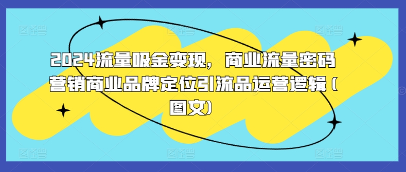 2024流量吸金变现，商业流量密码营销商业品牌定位引流品运营逻辑(图文)-梦帆创业网