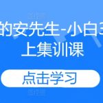 亲爱的安先生-小白3天线上集训课-梦帆创业网