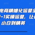小红书电商精细化运营全流程，从0-1实操运营，让你从小白到精英-梦帆创业网
