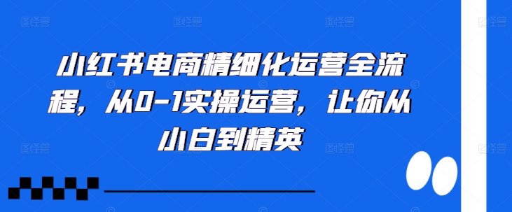 小红书电商精细化运营全流程，从0-1实操运营，让你从小白到精英-梦帆创业网