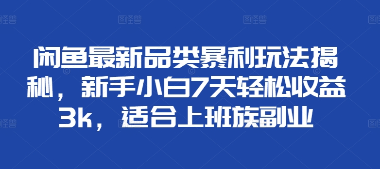 闲鱼最新品类暴利玩法揭秘，新手小白7天轻松收益3k，适合上班族副业-梦帆创业网