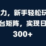AI 助力，新手轻松玩转多平台矩阵，实现日入 300+-梦帆创业网