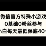 微信官方特定小游戏，0基础0粉丝，小白上手每天最少保底40+-梦帆创业网