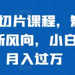 明星IP切片课程，短视频带货新风向，小白也能月入过万-梦帆创业网