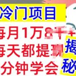 冷门项目，这个方法一定要学会，内部教程，每月1w(揭秘)-梦帆创业网