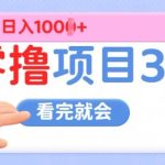 零撸项目3.0，多种收益方式单日收益几张-梦帆创业网