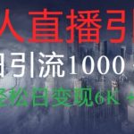 抖音快手视频号全平台无人直播引流1000+精准创业粉玩法拆解-梦帆创业网