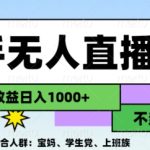 2024最新快手无人直播8.0，无封号不跳版权，可矩阵-梦帆创业网