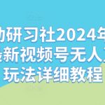 嗨动研习社2024年10月最新视频号无人直播玩法详细教程-梦帆创业网