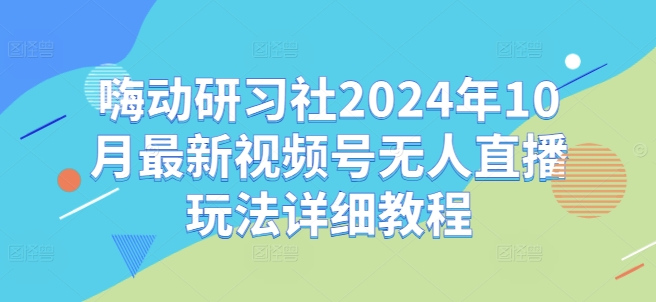 嗨动研习社2024年10月最新视频号无人直播玩法详细教程-梦帆创业网