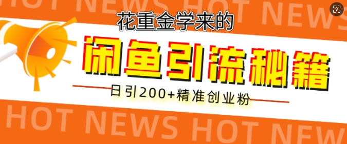 花重金学来的闲鱼到流秘籍，日引200+精准创业粉-梦帆创业网