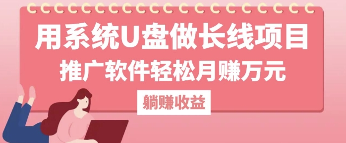 用系统U盘做长线项目，推广软件轻松月入过W-梦帆创业网