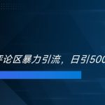 双十一电商评论区暴力引流，日引500+精准创业粉【揭秘】-梦帆创业网