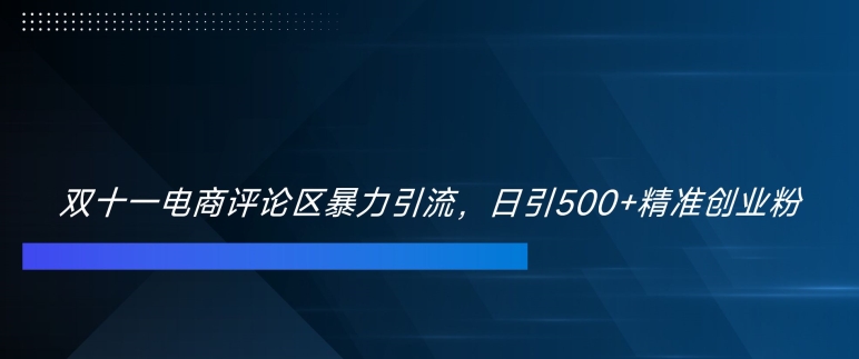 双十一电商评论区暴力引流，日引500+精准创业粉【揭秘】-梦帆创业网