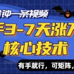 快手3-7天涨万粉核心技术，AI让你3分钟一条视频，可矩阵，月入过W-梦帆创业网