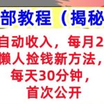 Ai自动收入，每月2W+懒人捡钱新方法，首次公开，每天30分钟，轻松上手-梦帆创业网