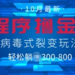 微信小程序撸金6.0，病毒式裂变玩法，日入3张-梦帆创业网