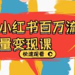 小红书百万流量变现课,小红书电商教程下载-梦帆创业网