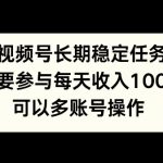 视频号长期稳定任务，只要参与每天收入100+ 可以多账号操作-梦帆创业网