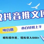 小说抖音推文项目，纯自撸，小白轻松上手，矩形操作后，轻松日入几张-梦帆创业网