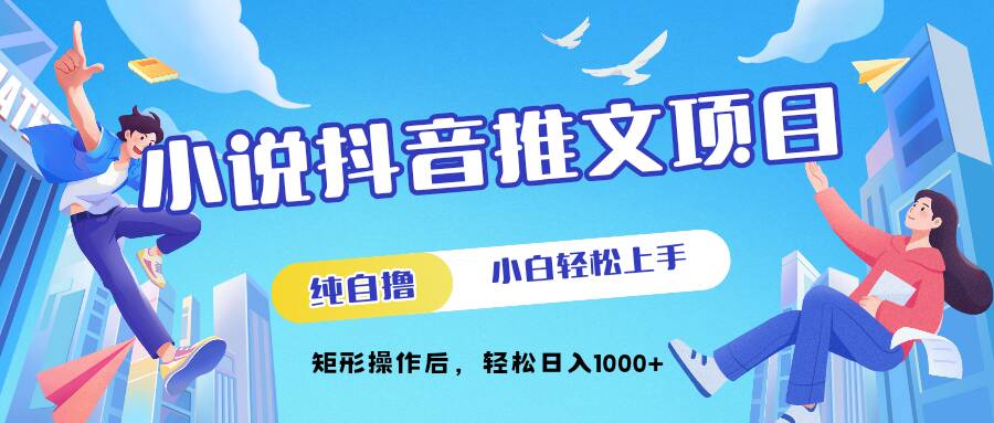 小说抖音推文项目，纯自撸，小白轻松上手，矩形操作后，轻松日入几张-梦帆创业网