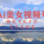 2024最新视频号AI美女跳舞视频玩法，当天见收益-梦帆创业网