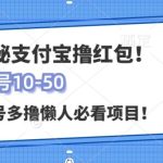 支付宝全自动撸金，无需养机，当天落地3张，很适合零基础小白的兼职副业-梦帆创业网
