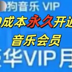 0成本永久音乐会员，可自用可变卖，多种变现形式日入3张-梦帆创业网
