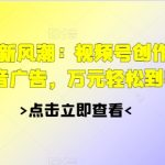 2024娱乐新风潮：视频号创作者分成+抖音广告，万元轻松到手-梦帆创业网