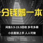 一分钱薅一本书 闲鱼9.9-19.9回收 多号多薅 小白直接上手-梦帆创业网
