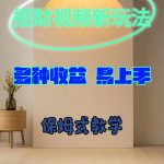 招财视频新玩法，多种收益，易上手-梦帆创业网