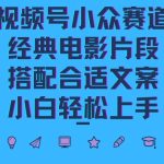 视频号批量搬运实战赚钱教程,傻瓜式批量制作高质量内容【附视频教程+PPT】-梦帆创业网