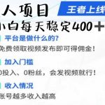 生财有术抖音商业IP航海实操课1.0，1400+船员实操总结验证，从第一个粉丝开始变现-梦帆创业网