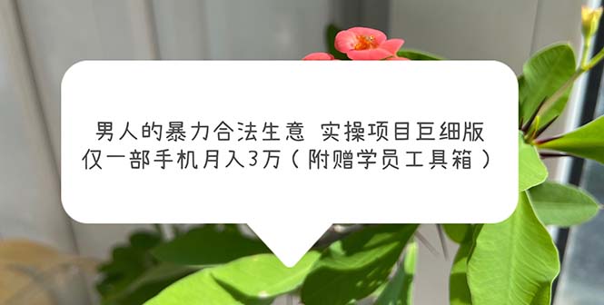 男人的暴力合法生意实操项目巨细版：仅一部手机月入3w（附赠学员工具箱）-梦帆创业网