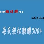 用微信群做副业,0成本疯狂裂变,当天见收益 一部手机实现每天轻松躺赚300+-梦帆创业网