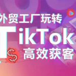 外贸工厂玩转TikTok高效获客,多种引流方式与账号定位技巧,拆解爆款短视频打造成功案例-梦帆创业网