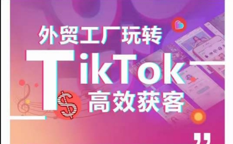 外贸工厂玩转TikTok高效获客，多种引流方式与账号定位技巧，拆解爆款短视频打造成功案例-梦帆创业网