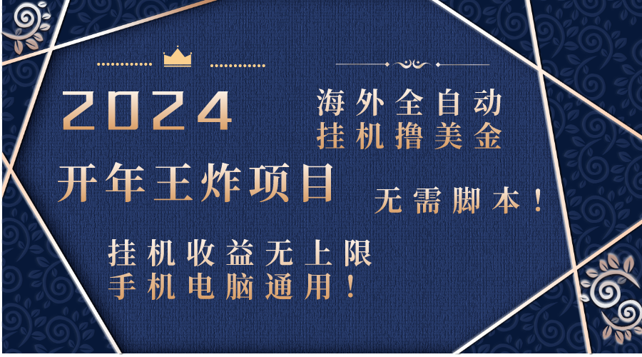 2024海外全自动挂机撸美金项目！手机电脑均可，无需脚本，收益无上限！-梦帆创业网