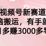 （9277期）视频号新赛道，无脑搬运，有手就行，每个月多赚3000多零花钱-梦帆创业网