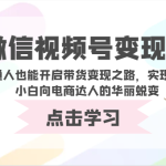 微信视频号变现营-普通人也能开启带货变现之路，实现电商小白向电商达人的华丽蜕变-梦帆创业网