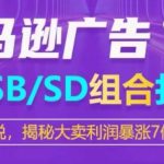 亚马逊SP/SB/SD广告组合打法，揭秘大卖利润暴涨7倍战术-梦帆创业网