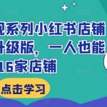 小红书变现系列小红书店铺变现，AI升级版，一人也能开16家店铺-梦帆创业网