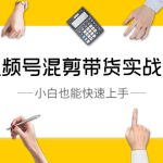 视频号-混剪带货实战课，小白也能快速上手（10节课）-梦帆创业网