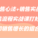 【销售心法+销售实战】销售流程实战课打好流量和销售增长的组合拳-梦帆创业网